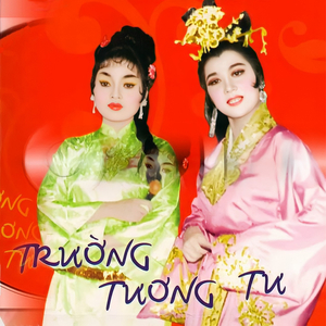 Trường Tương Tư 4