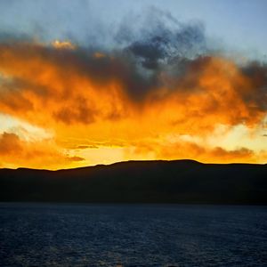 《候鸟备忘录》