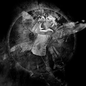 沙漠骆驼（之抖音觉醒）