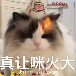 少年纵马且长歌