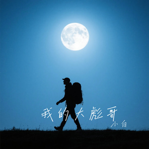 我的大彪哥