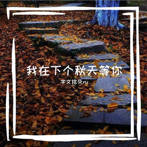 我在下个秋天等你