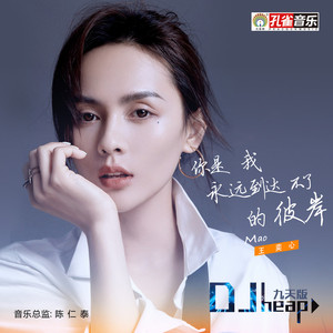 你是我永远到达不了的彼岸 (DJheap九天版)
