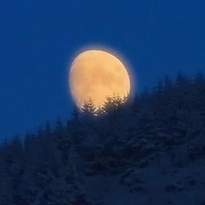 词傲 - 我愿你桃花不断 [K649]