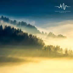 丛林下雨声静心禅音 (古琴)