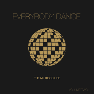 Into You (Konstantin Sibold Disco Mix) [Feat. Fabian Reichelt]