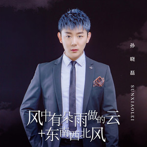 风中有朵雨做的云+东南西北风
