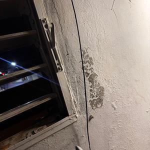 luz