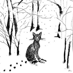 The Three-Eyed Cat and the Lucid Snow