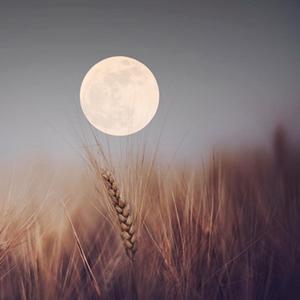 月亮另一边的姐姐 伴奏