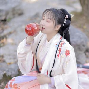 仗剑江湖载酒行