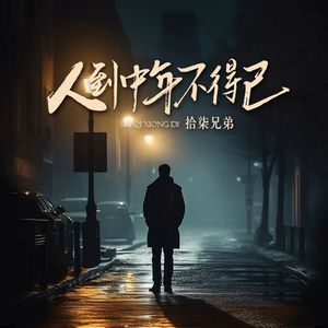 人到中年不得已