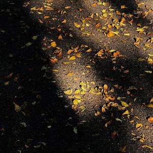 熊出没童年回忆串烧