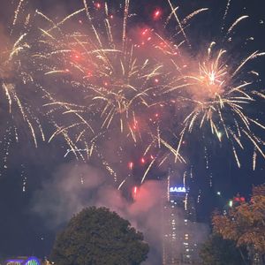 辞暮尔尔 烟花年年