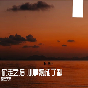 你走之后 心事瘦成了秋