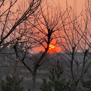 永远过的人_景景