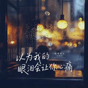 以为我的眼泪会让你心痛 (动感版)