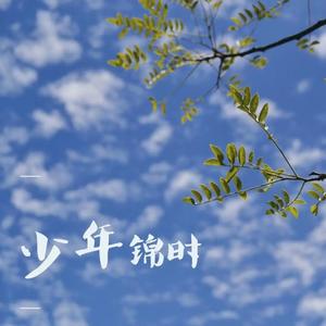 少年锦时