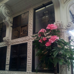 ♡ Dream Girl ♡ (Sad Spice)