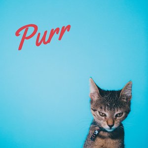 Purr