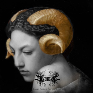 Salice-Correspondences