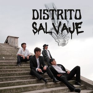 Distrito Salvaje