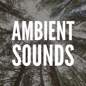 Ambient Sounds, Pt. 8