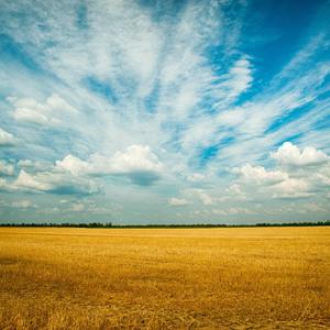 不言风与月-go（不言风与月 remix）