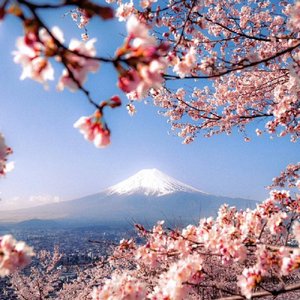 富士山下（谐音版）