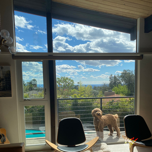 Growth (feat. Black in the trap)