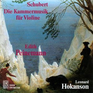 Arpeggione Sonata in A Minor, D. 821: I. Allegro moderato