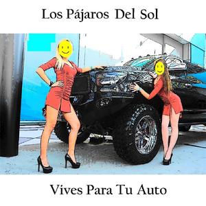 Vives para Tu Auto