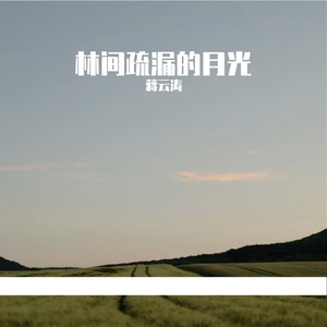 斑马线是会动的钢琴