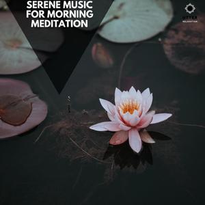 Relaxing Stellar Dream