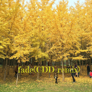 fade (CDD remix)