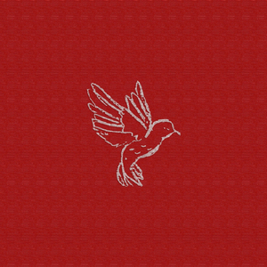 colibrí