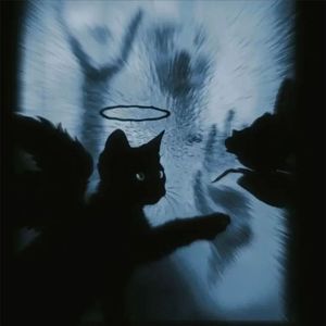夜幕降临