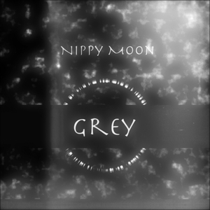 #808080 Fading to Grey
