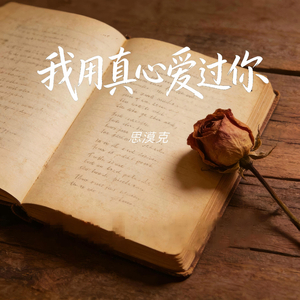 我用真心爱过你