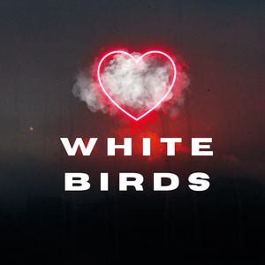 WHITE BIRDS