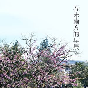 春末南方的早晨（DEMO）