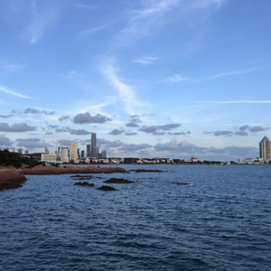 不要忘记我爱你