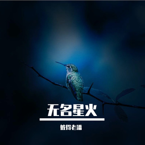 无名星火