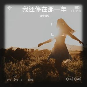 我还停在那一年