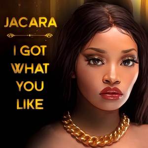 I Got What You Like (Remix)