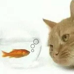 泡泡Ｏ°ｏ○。