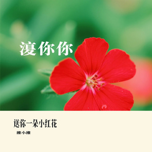 送你一朵小红花（Cover 赵英俊）