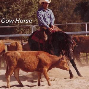 Cow Horse