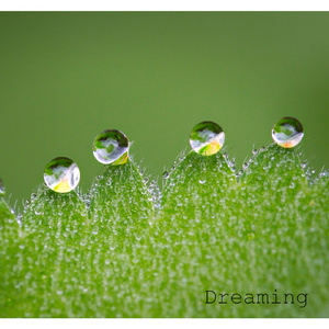 당신의 마음을 안아줄께요