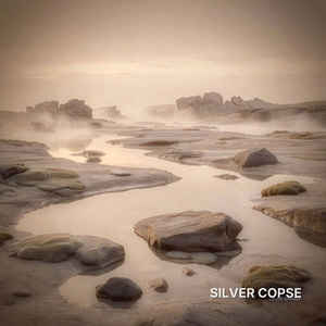 Silver Copse